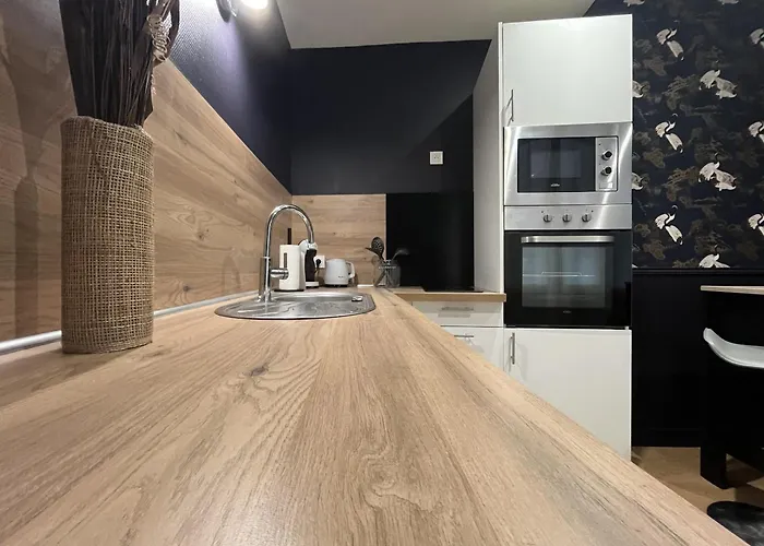 Appartement En Plein Coeur Du Centre-ville - 2 Personnes Angers